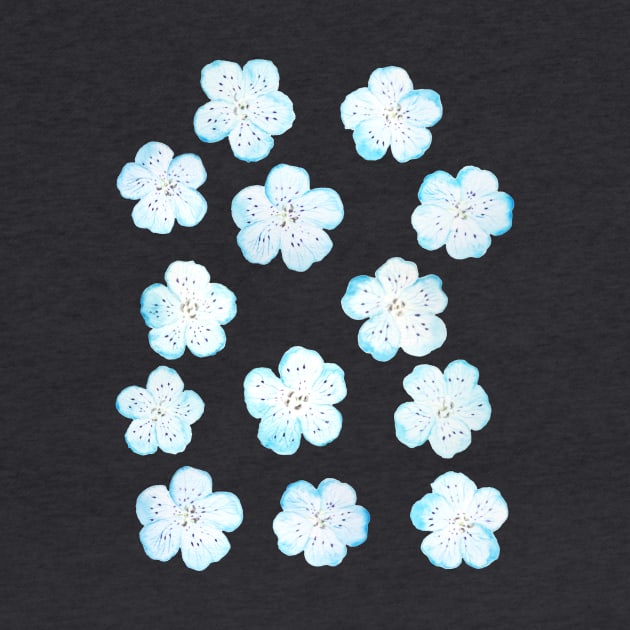 Blue Nemophila Flower pattern by colorandcolor